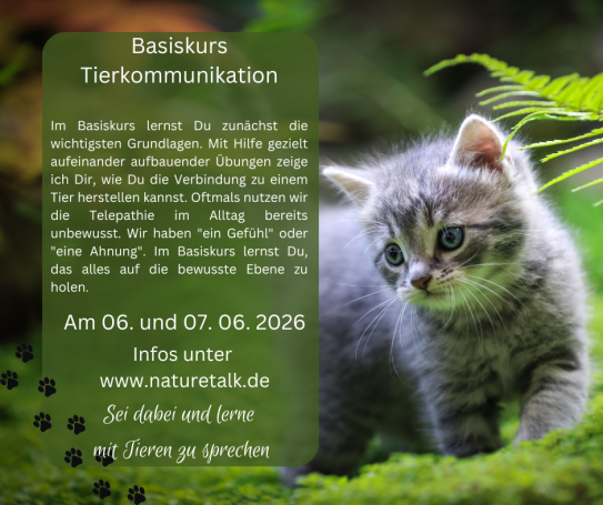 Basiskurs Tierkommunikation