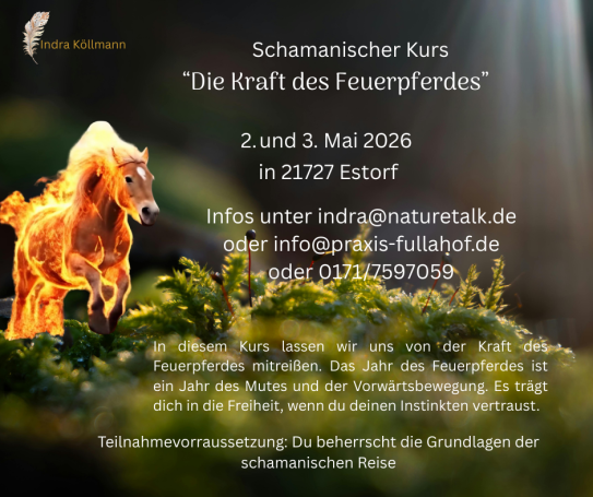 Schamanischer Kurs